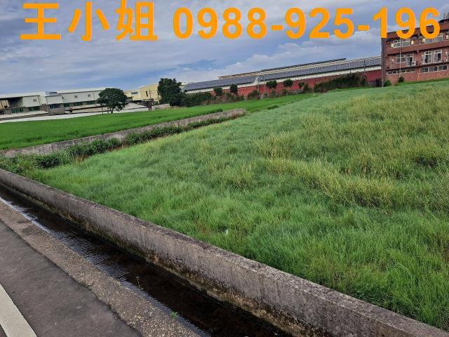 桃園中壢農地-6