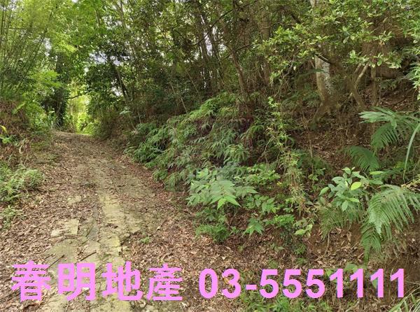 新竹橫山農地-10