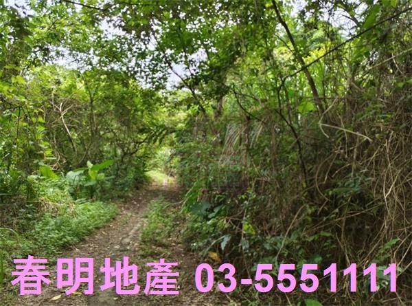新竹橫山農地-1