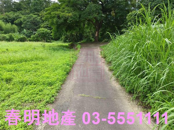 新竹橫山農地-2