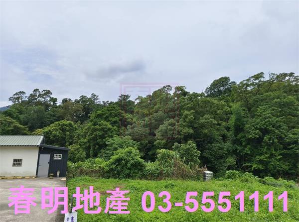 新竹橫山農地-7