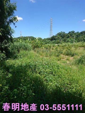 香山農地-3