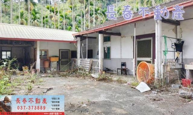 苗栗卓蘭林地-3