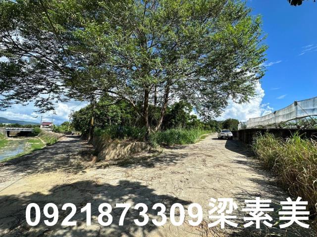 玉井農地-1