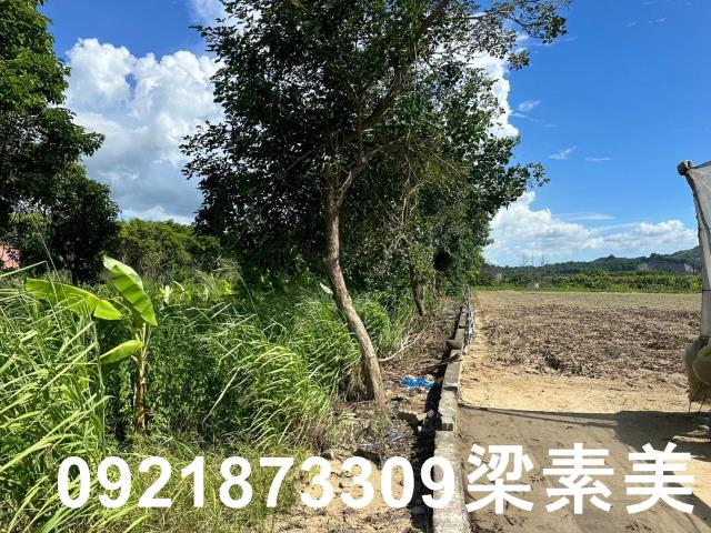 玉井農地-2