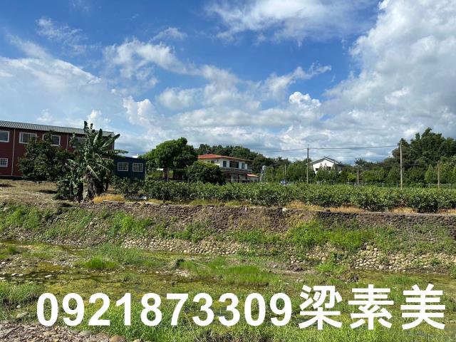 玉井農地-5