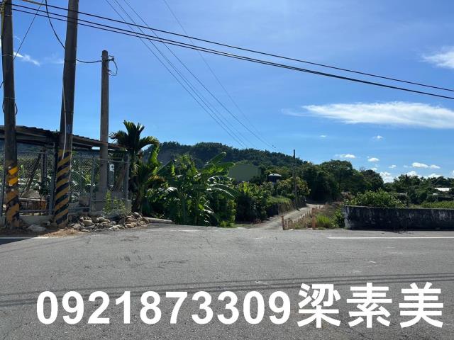 玉井農地-8
