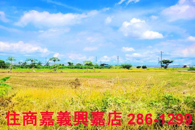 民雄農地-8
