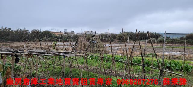 桃園工業地-1