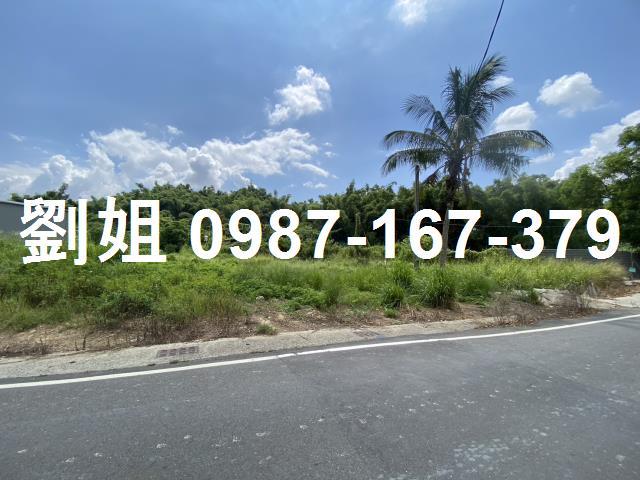 高雄仁武農地-1