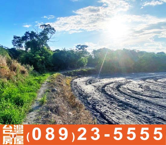 鑽石台東房屋買賣