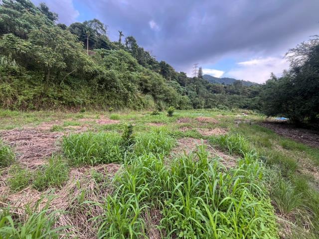 南投山坡地-10