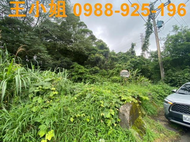 桃園平鎮農地-4