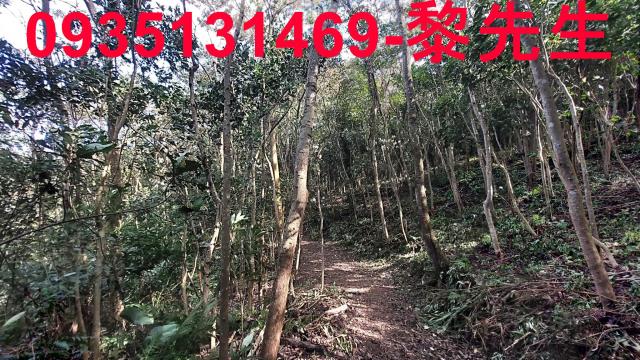 苗栗農地-9