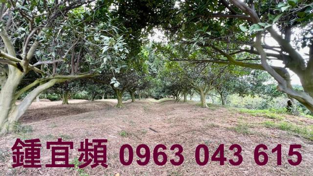 新竹峨眉農地-7