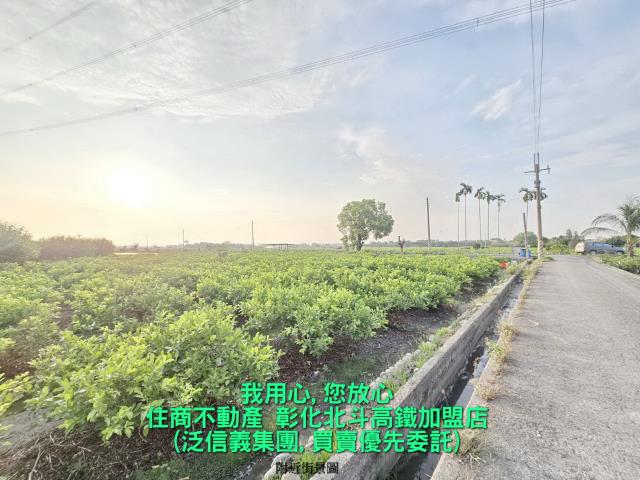 彰化溪州農地-3