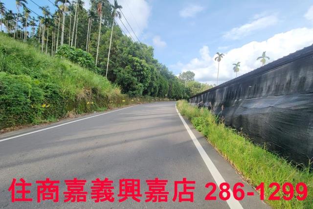 嘉義中埔農地-10