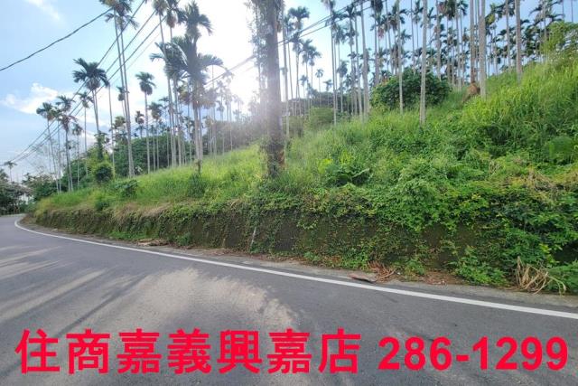 嘉義中埔農地-3