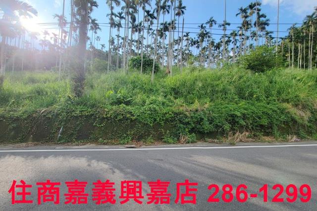 嘉義中埔農地-4