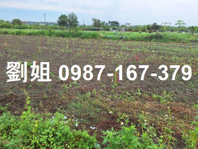 高雄林園農地-1