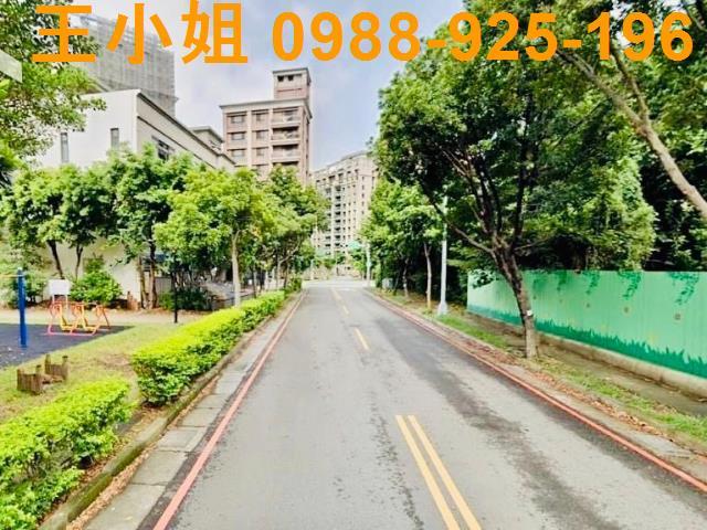 桃園建地-3