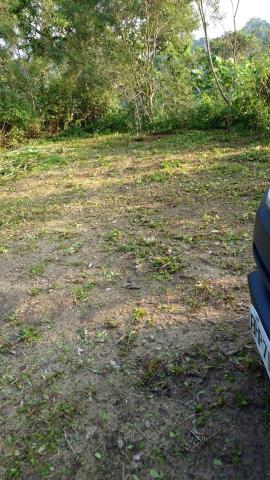 台中太平山坡地-11