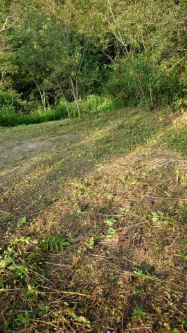 台中太平山坡地-12