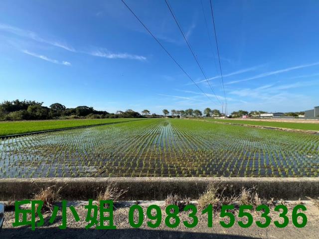 太保農地-1
