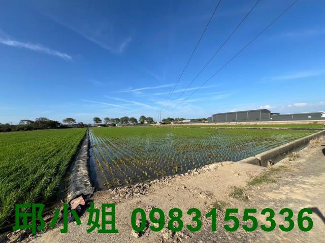 太保農地-3