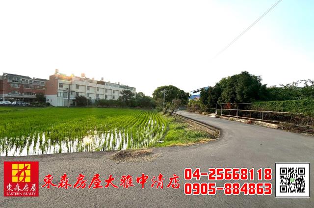 台中大雅農地-8