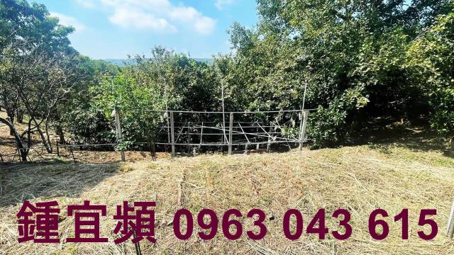 新竹農地-14
