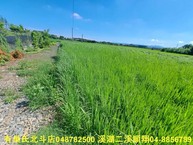 北斗農地-6