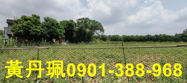 桃園八德農地-1