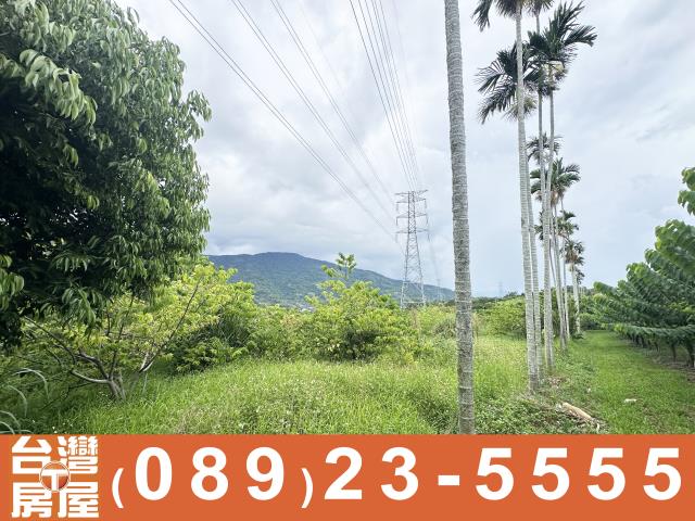 台東卑南農地-6