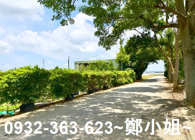 桃園農地-7