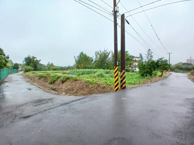 桃園農地-1
