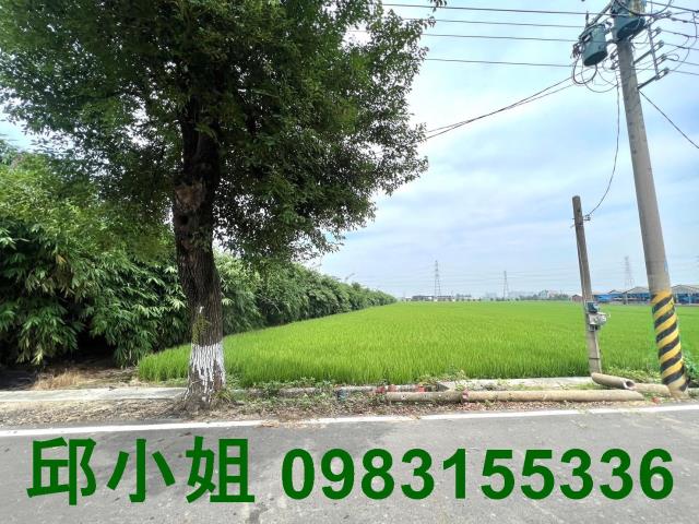 民雄農地-1