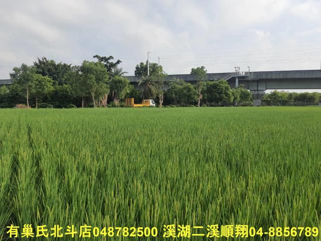 彰化溪州農地-4