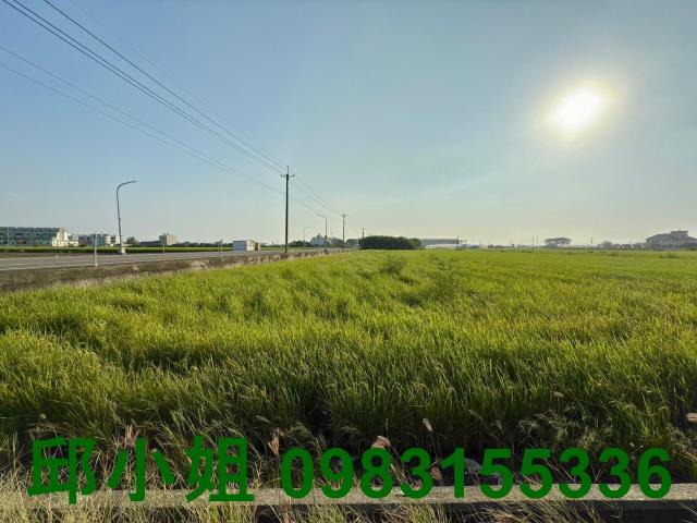 嘉義太保農地-1