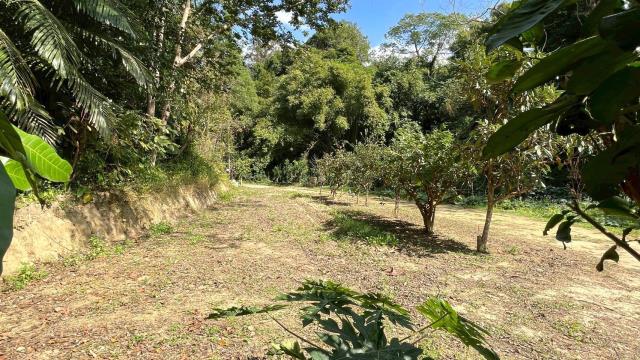 新竹峨眉農地-6