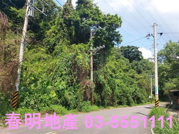 頭份林地-8