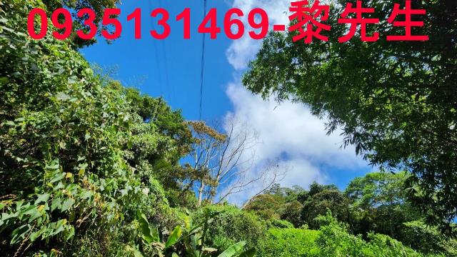 新竹芎林林地-11