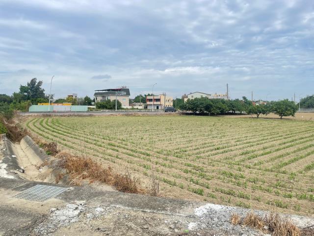 嘉義六腳農地-3