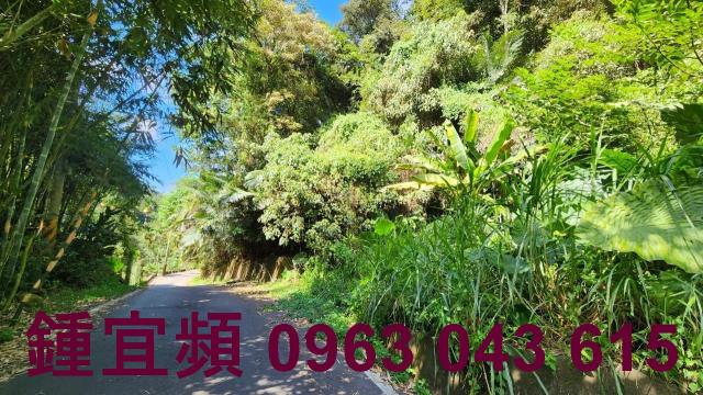 新竹芎林山坡地-5