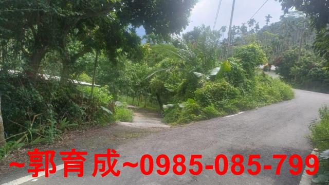 嘉義農地-3
