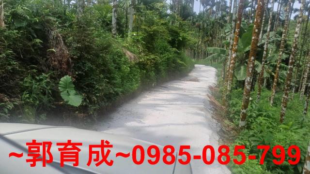 嘉義農地-4