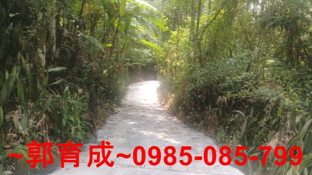 嘉義農地-5