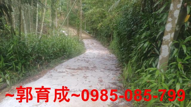 嘉義農地-6