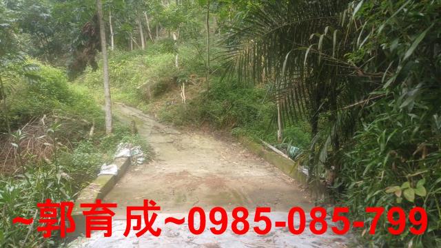 嘉義農地-7
