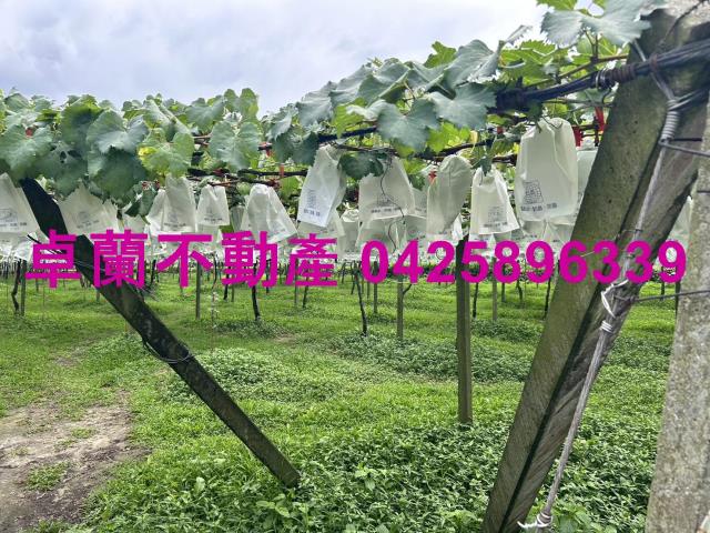 卓蘭農地-4